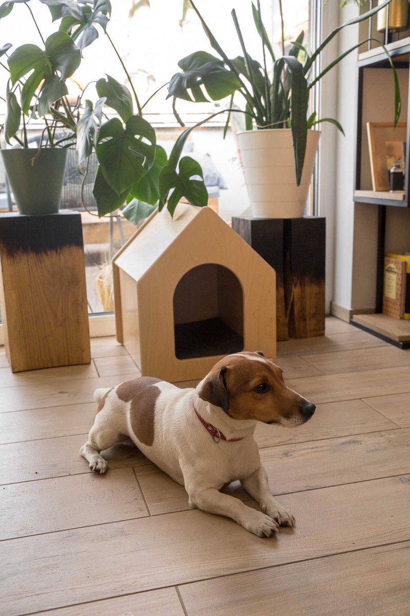 Rico houten huis - M - natuurlijk - houten hondenmand voor binnen - Houten hondenhuis