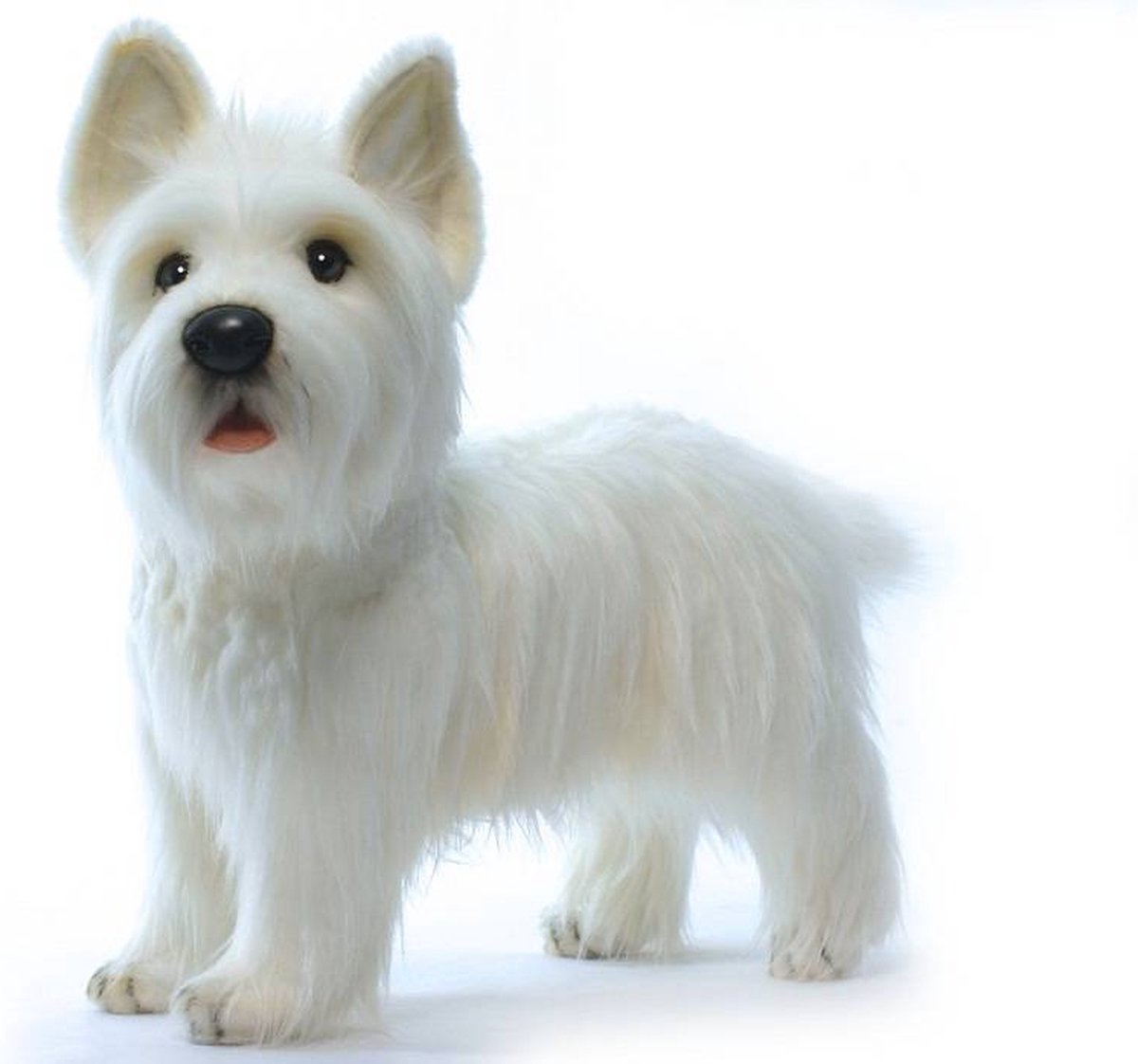 Hansa pluche West Highland Terrier knuffel 50 cm
