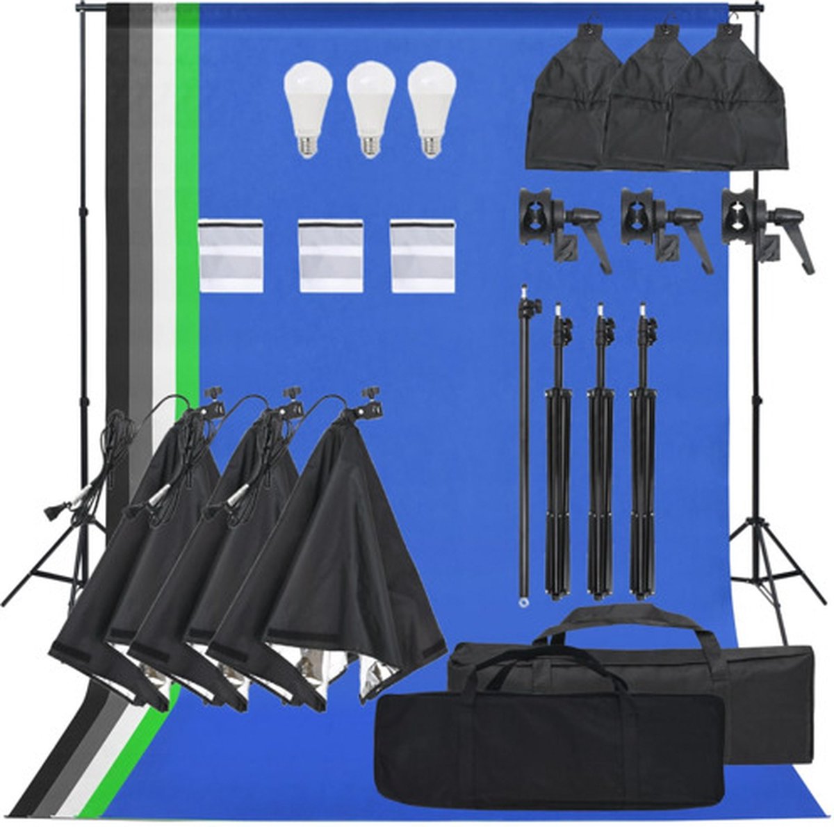 vidaXL Fotostudioset met verlichtingsset en achtergrond