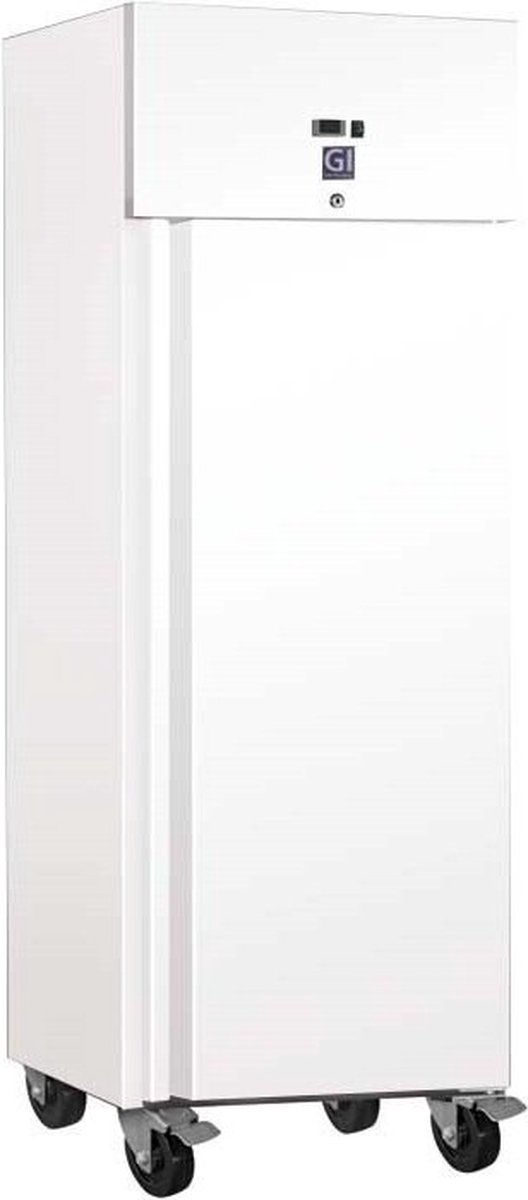 Gastro-Inox Wit Stalen 600 Liter Vriezer - Statisch Gekoeld met Ventilator - 201.021 - Horeca & Professioneel