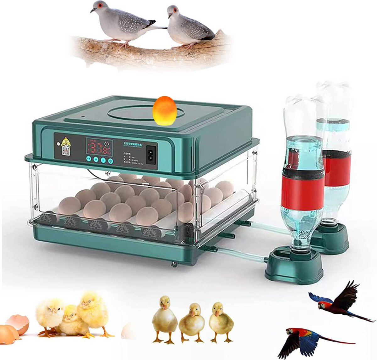 Blithe- Broedmachine Automatisch - Eier Broedmachine - multifunctionele Incubator - Automatische Incubator Voor Eieren- Voor 12 Eieren - Automatische Rotatie - Temperatuurregeling En Vochtweergaven