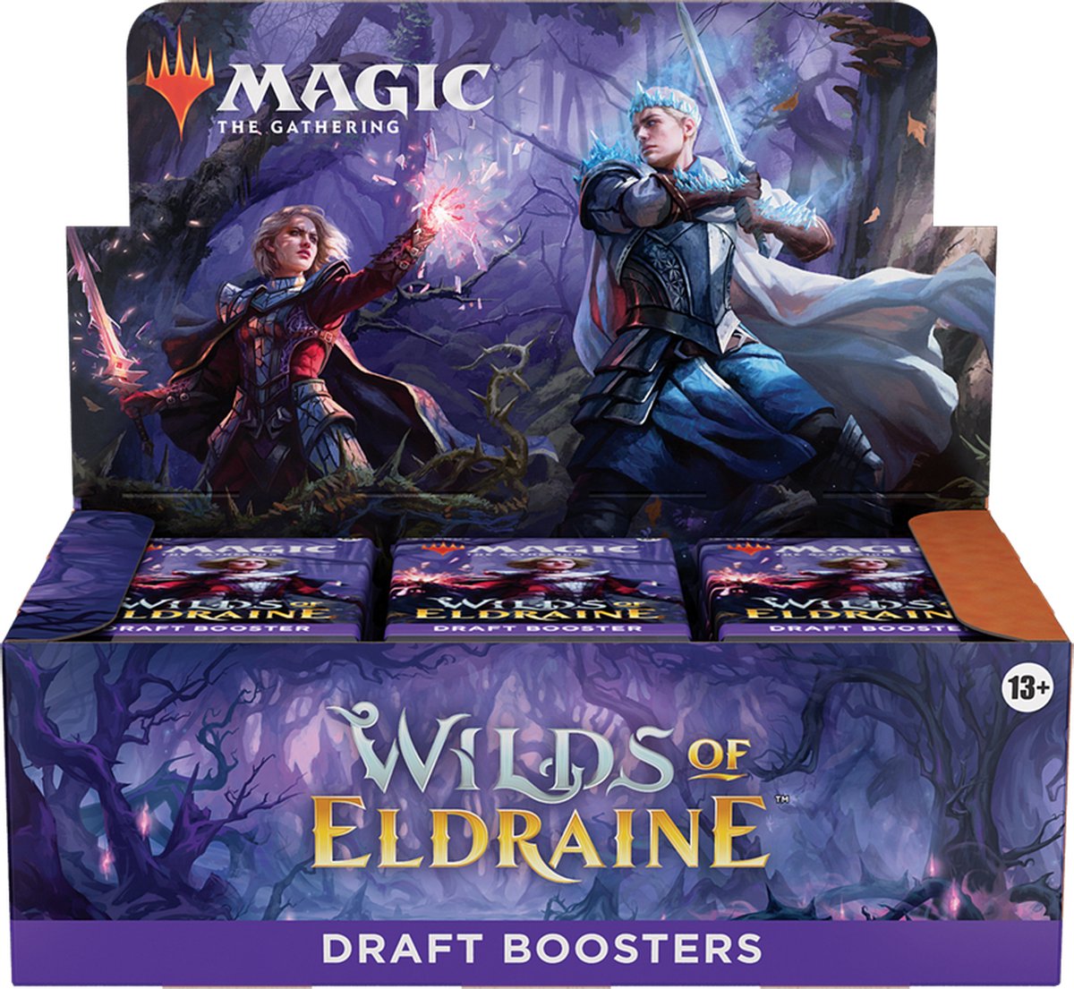 MtG Wilds of Eldraine Draft Booster Box (EN)