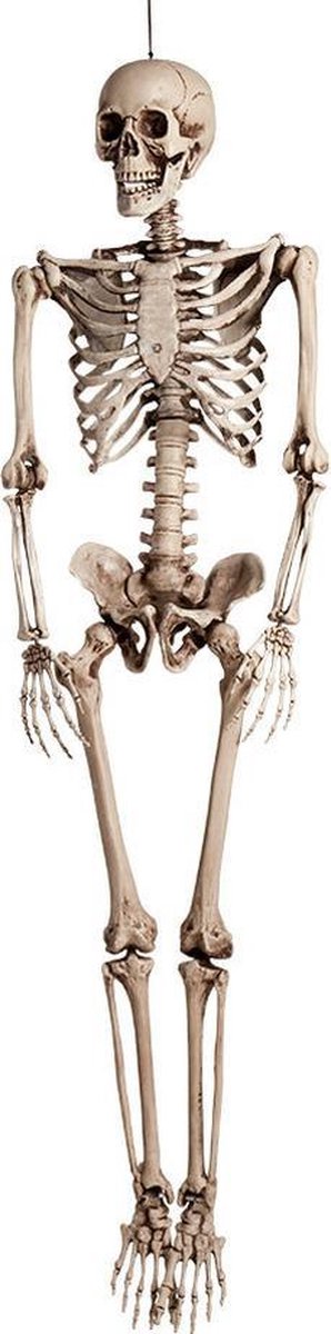 Halloween Groot decoratie skelet 160 cm