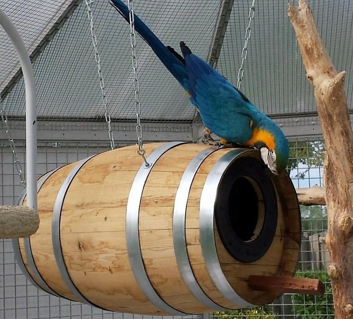 Broedvat Ara 150 liter (horizontaal)