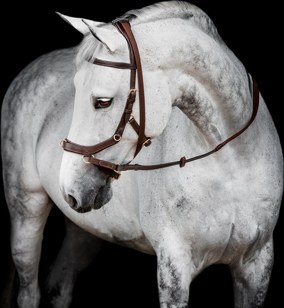 Horseware Rambo Micklem 2 Multi Hoofdstel - maat Cob - havana