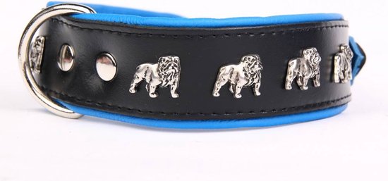 Dog's Companion - Leren halsband Engelse Bulldog - Lengte: 65cm (51-60cmx50 mm), Kleur: Zwart / Blauw