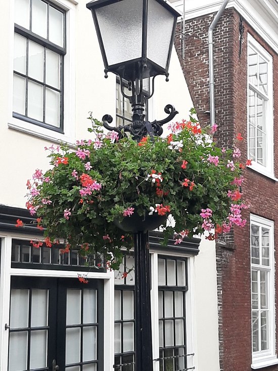 BLITZZ® - Impact Collection - Ski- Snowboard Bril - No Edge - Antarctica Blauw - Magnetische Lens - Inclusief Opberg box - One Size