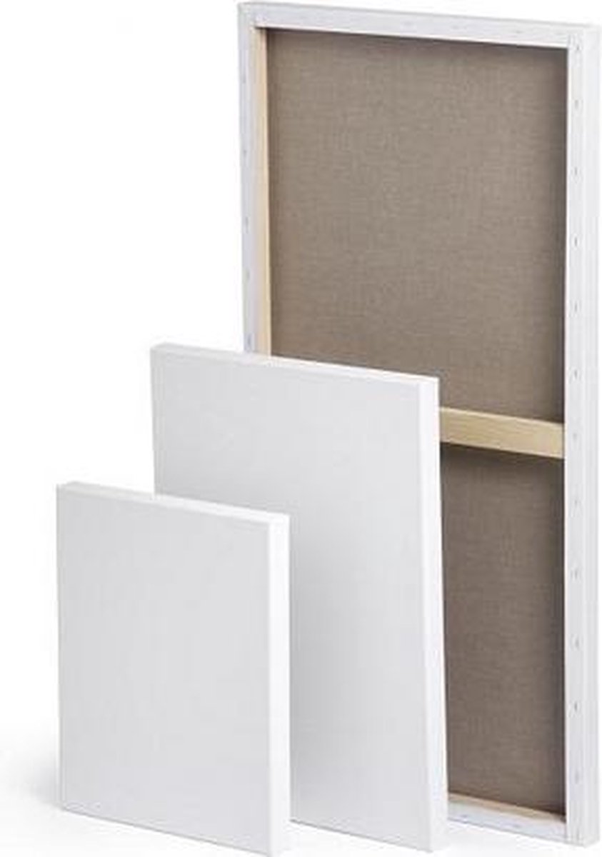 CO Professional Canvas 50x80 Schildersdoek 6 stuks