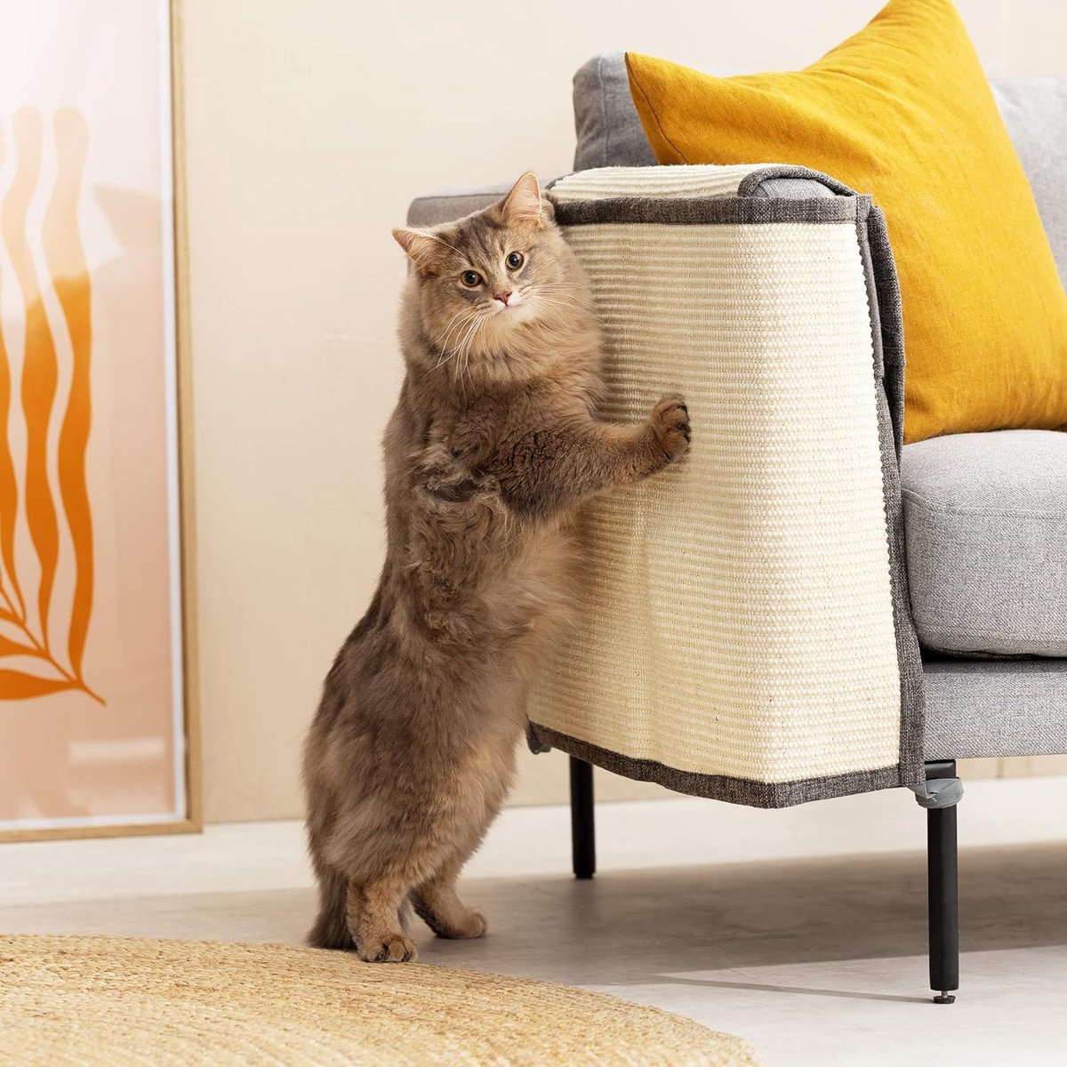 kattenkrabmat voor de bank - Beschermt meubels tegen krabbende katten - 70 x 10 x 50 cm - Rechts