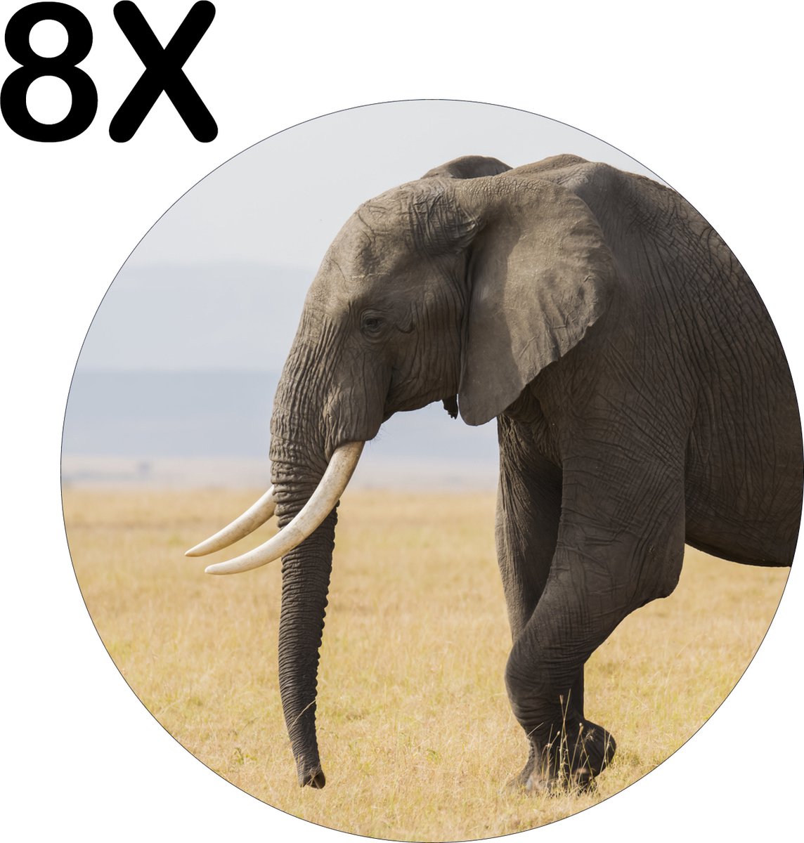 BWK Luxe Ronde Placemat - Lopende Olifant in het Wild - Set van 8 Placemats - 50x50 cm - 2 mm dik Vinyl - Anti Slip - Afneembaar