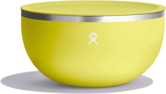 Serveerkom voor buiten, 2,84 l (3 Qt) met indrukdeksel, herbruikbare roestvrijstalen kom, opslag voor voedsel en snacks, BPA-vrij, vaatwasmachinebestendig Cactus