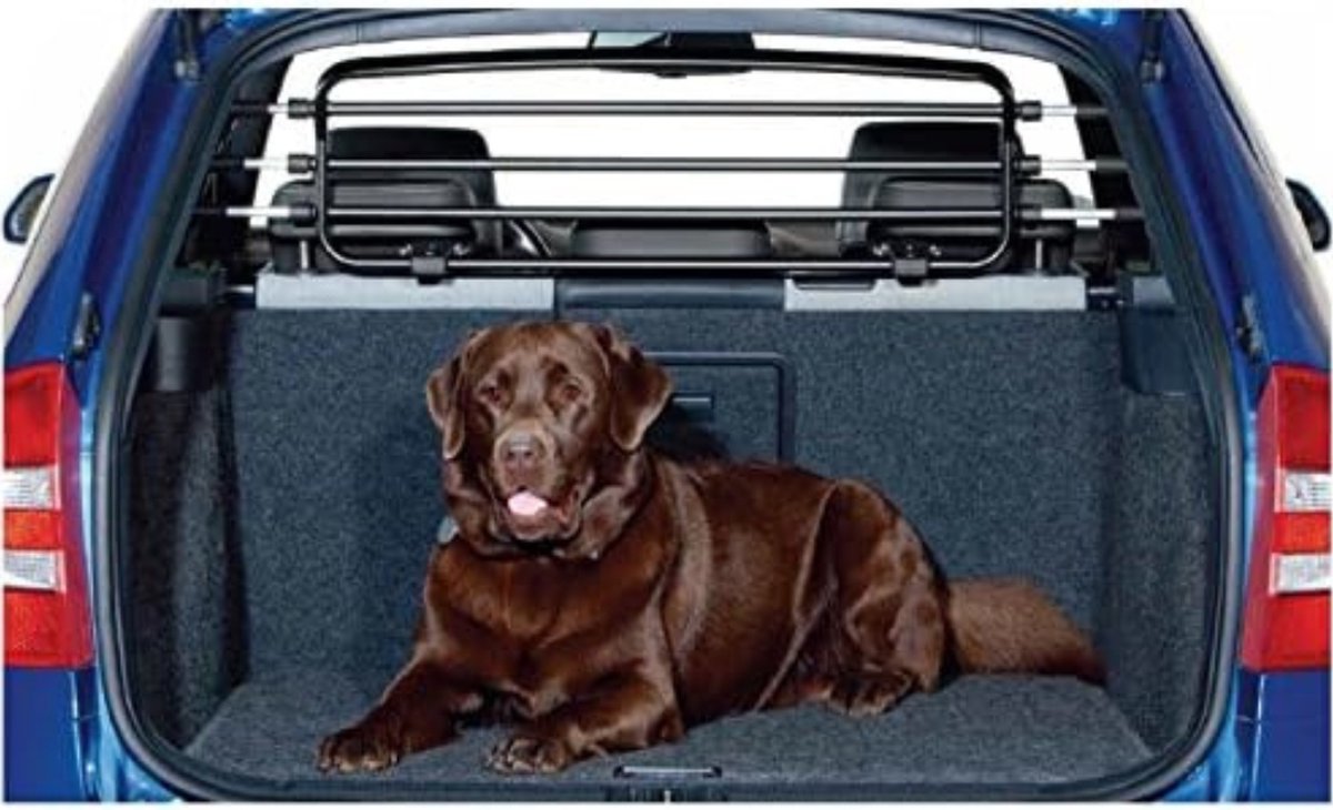 Bolture Hondenrek Auto - Hondenrek Auto Universeel - Hondenrek Auto Kofferbak