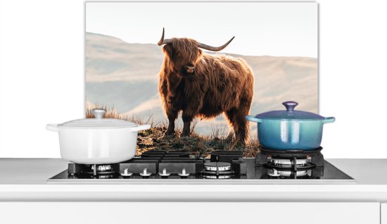 Spatscherm Keuken - Kookplaat Achterwand - Spatwand Fornuis - 60x40 cm - Schotse hooglander - Dieren - Landelijk - Landschap - Koe - Natuur - Aluminium - Wanddecoratie - Muurbeschermer - Hittebestendig