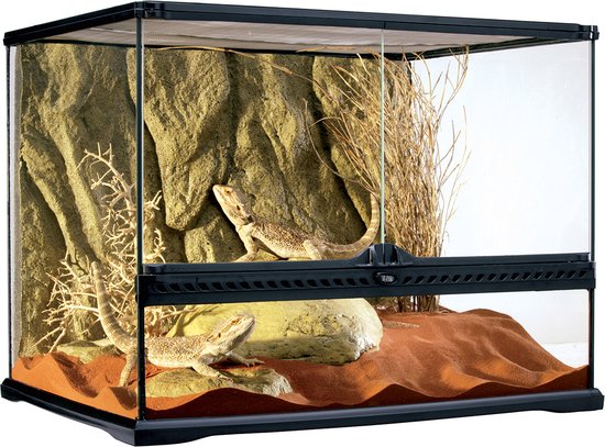 Exo Terra - Terrarium - Reptielen - Ex Glas Terrarium Incl Achterwand 60x45x45cm Zwart - 1st