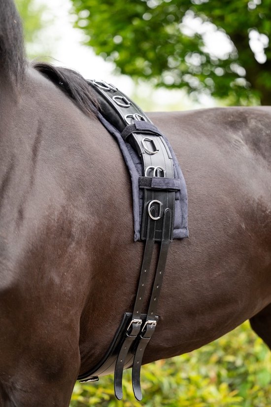 Showtime Longeersingel Luxe Leder