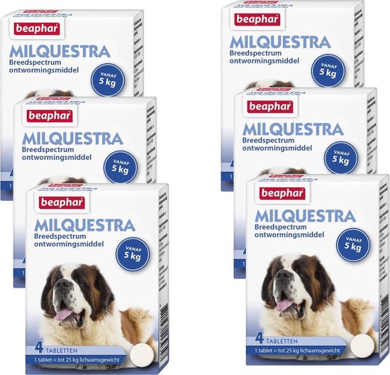 Beaphar Milquestra Hond - Anti wormenmiddel - 6 x 4 tab 5 Tot 75 Kg