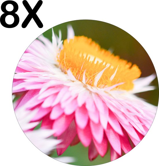 BWK Flexibele Ronde Placemat - Roze met Gele Bloem in de Natuur - Set van 8 Placemats - 40x40 cm - PVC Doek - Afneembaar
