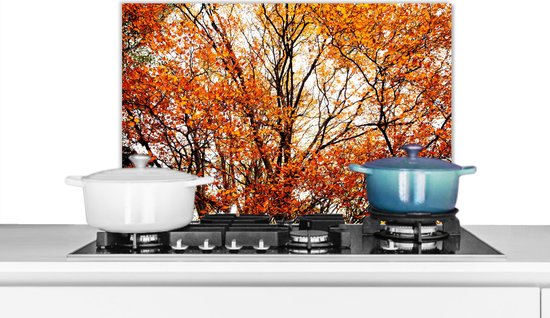 Spatscherm Keuken - Kookplaat Achterwand - Spatwand Fornuis - 60x40 cm - Bos - Herfst - Seizoenen - Aluminium - Wanddecoratie - Muurbeschermer - Hittebestendig