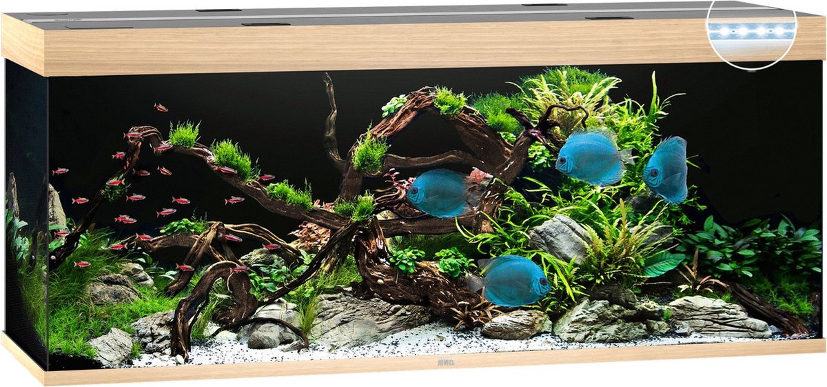 Juwel Aquarium Rio 450 Led 151x51x61 cm - Aquaria - Licht Hout