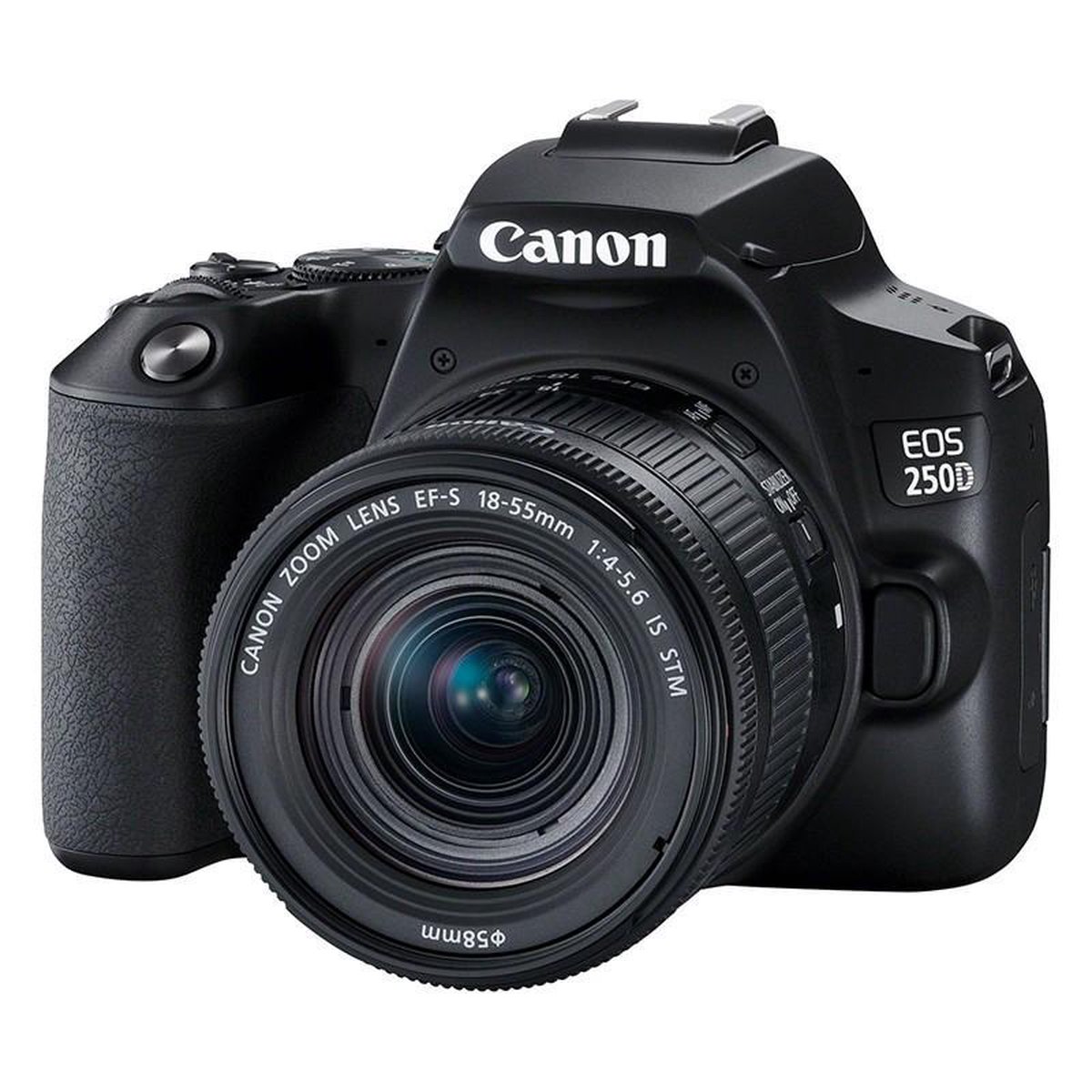 Canon EOS 250D + EF-S 18-55mm STM- Zwart | Spiegelreflexcamera's | Fotografie - Camera’s | 4549292132717
