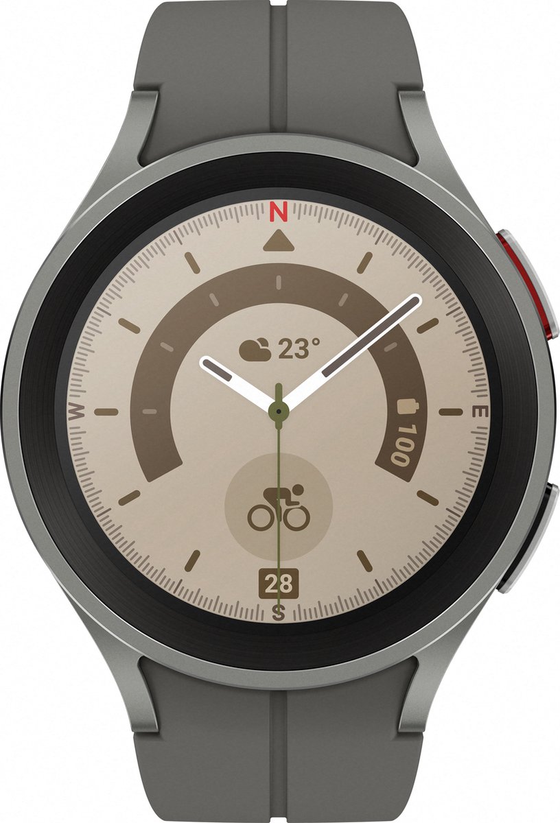 Smartwatch Samsung Grijs 45 mm 4G