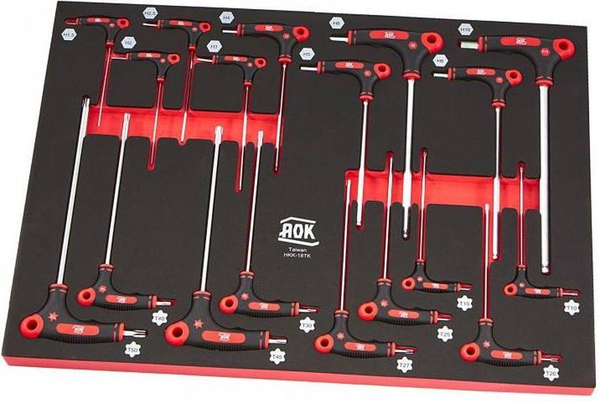 AOK PROFI 18-delige T-Grepen FOAM inlay
