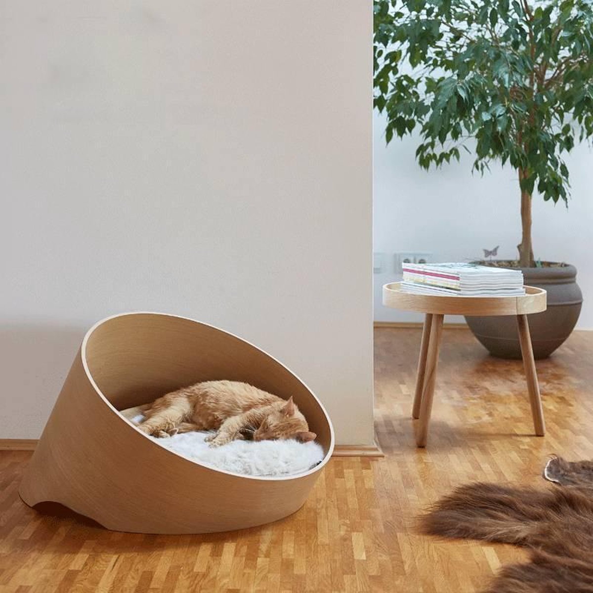 MiaCara Covo KattenmandØ60 Walnoot Kussen Mocca