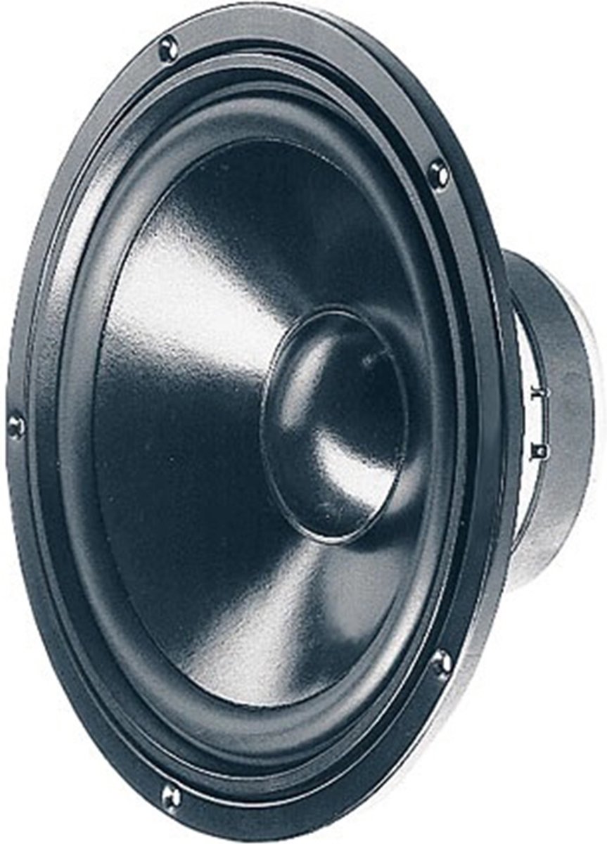Visaton W 250 S - 8 Ohm 10 inch 25.4 cm Woofer 100 W 8 Ω