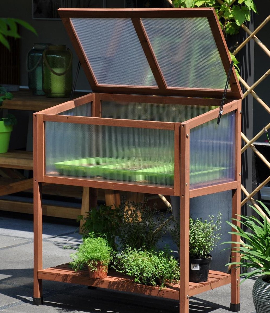 Red Leaf - Slim Kweken