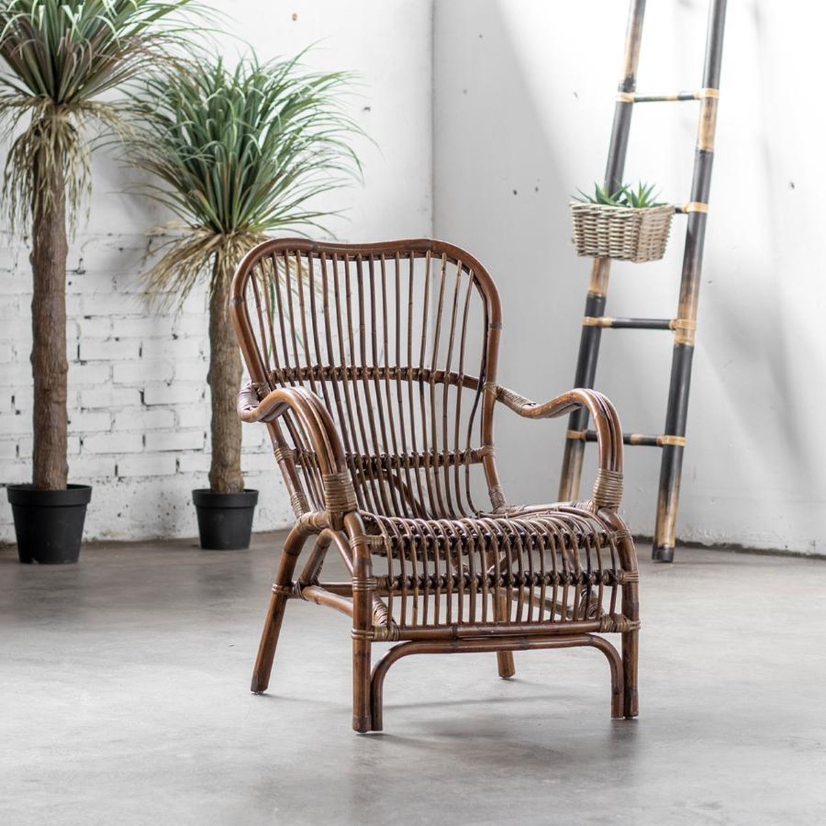 Stoel Bandung Spider - Van der Leeden