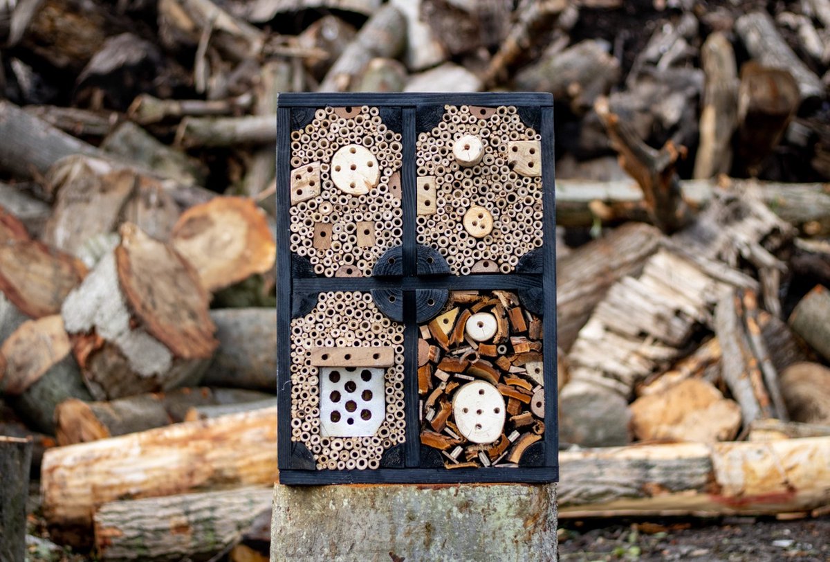 Insectenhotel de Maskerbij 20x45x50 cm - Boomstijl