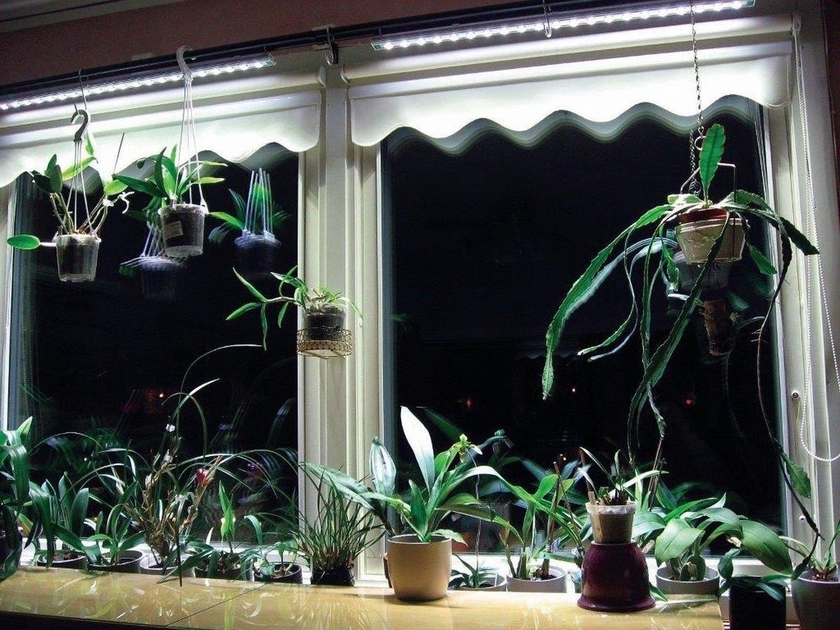 Parus Linear langwerpige kweeklamp led wit 30 graden 75w 120cm - BTT