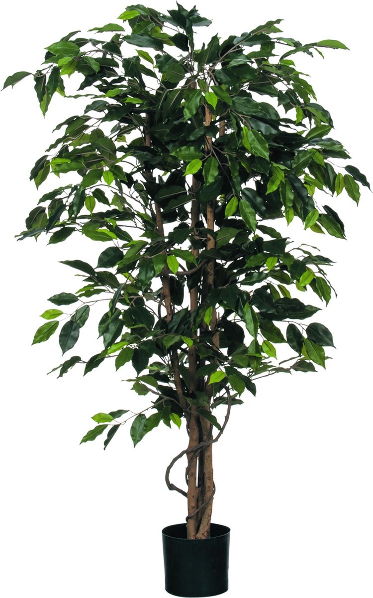 Mica Decorations Ficus Kunstplant - H150 x Ø85 cm - Groen