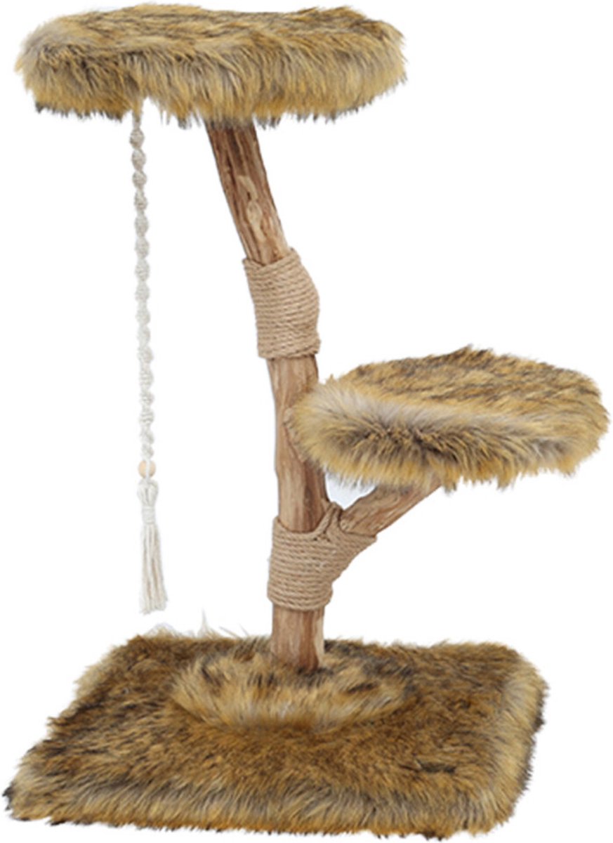 Boony Est 1941 Klimboom Prunus Grizzly Bruin 85 cm