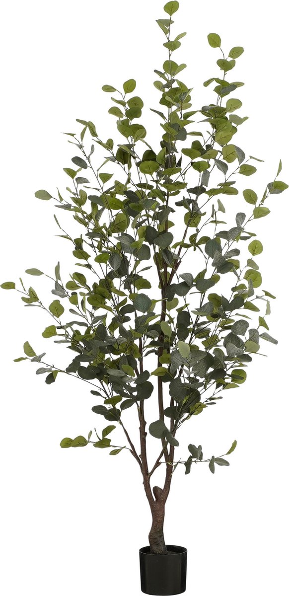 Mica Decorations Kunstplant Eucalyptusboom in Pot - H180 x Ø80 cm