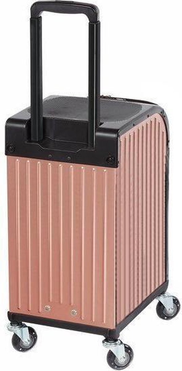 Sibel Rollercoaster Stool Case Rose Gold