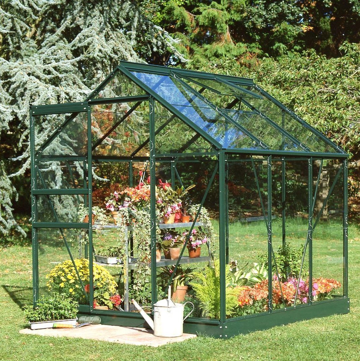 Popular 66, groen gecoat, tuindersglas 3mm - Royal Well