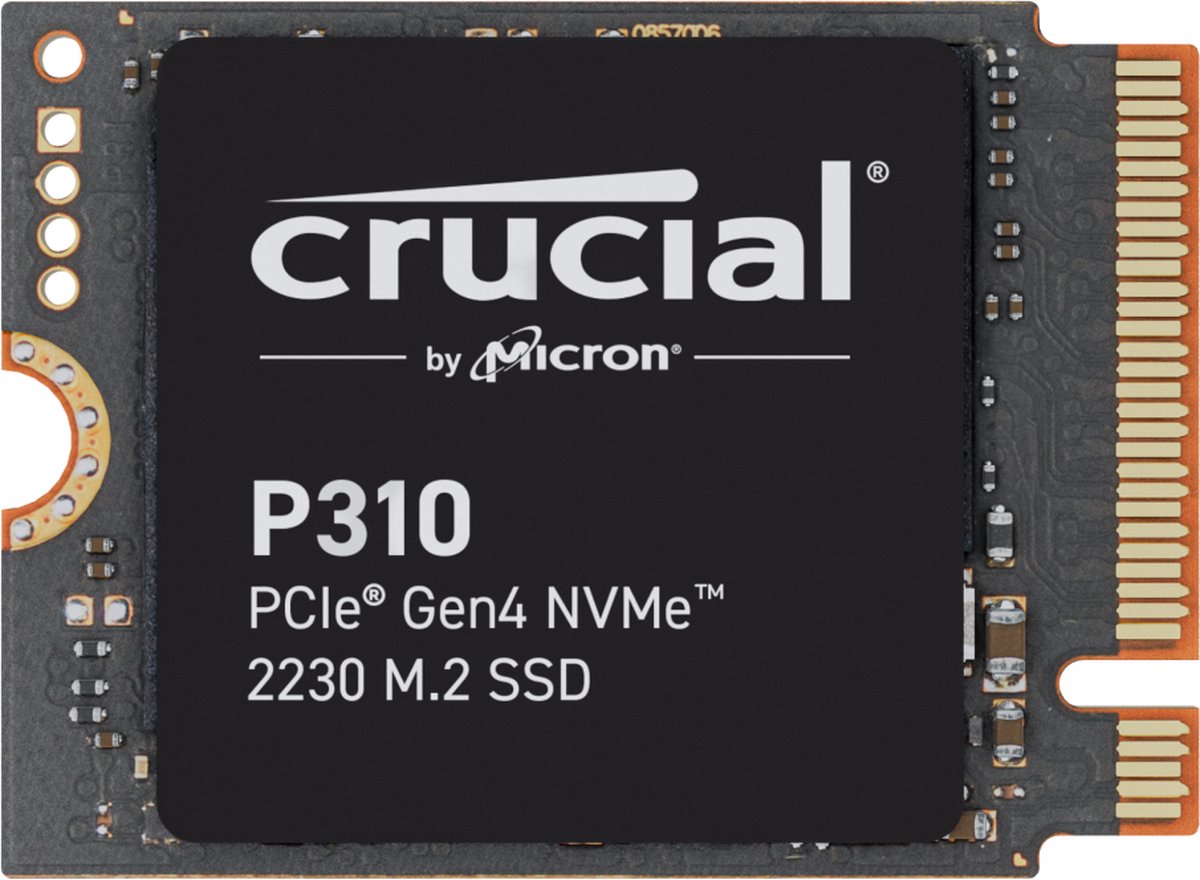P310 2 TB SSD