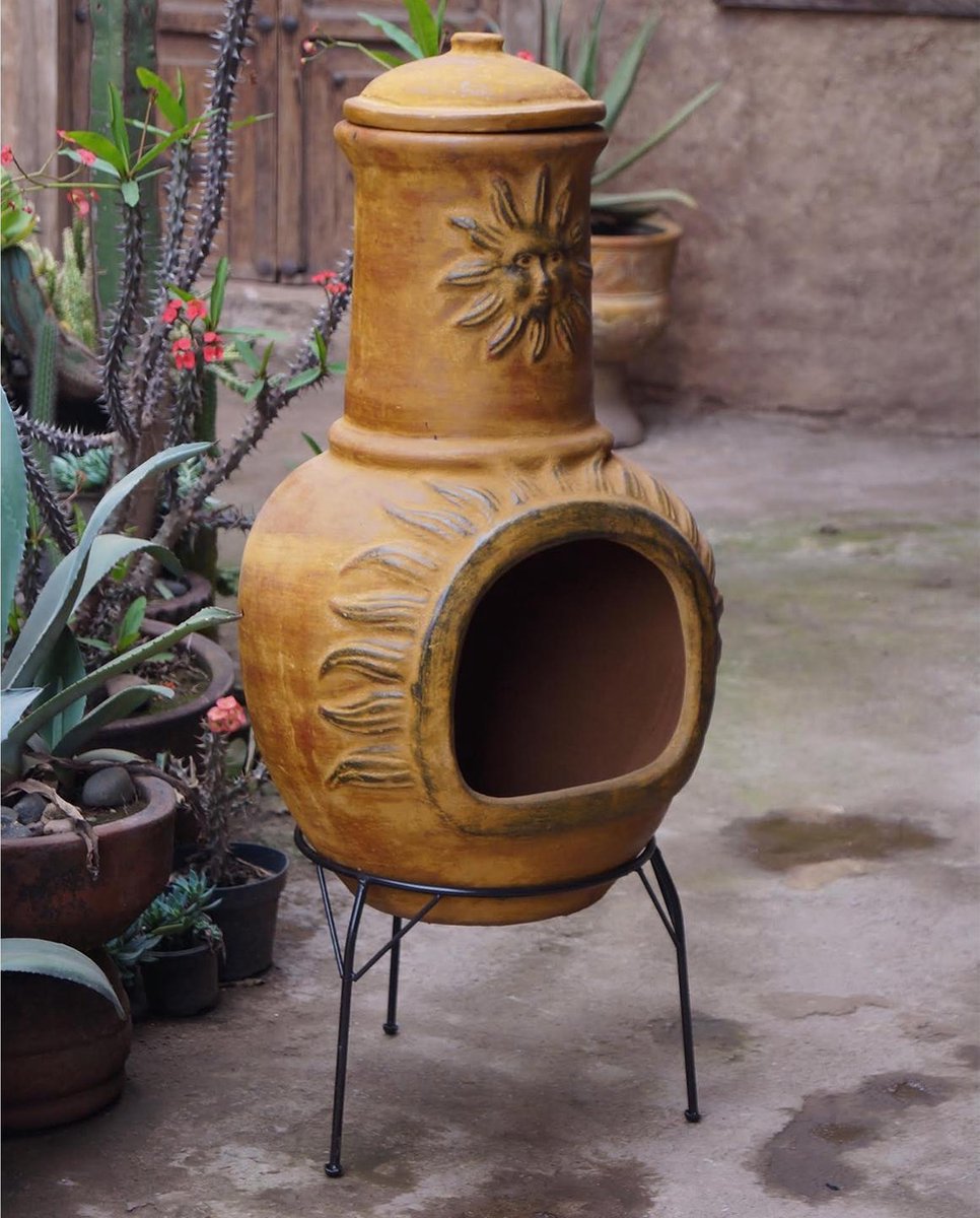 Mexicaanse Terrashaard Zon - Geel - Hortus
