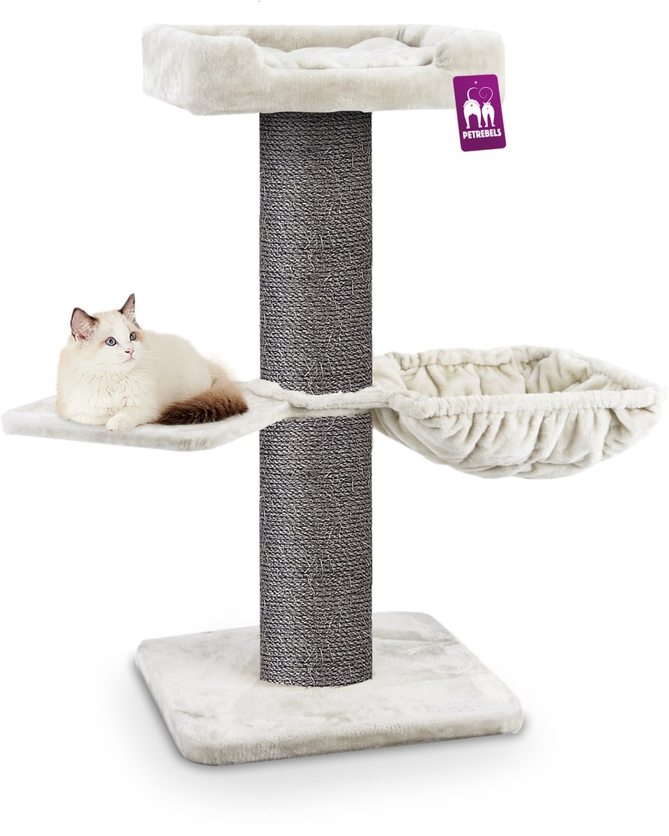 Krabpaal Maine Coon 117