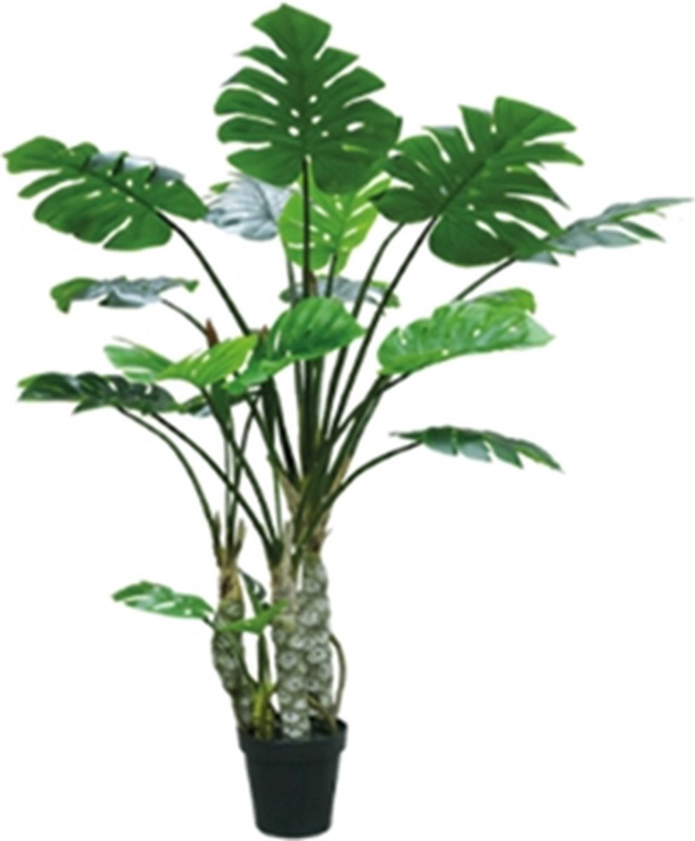 Kunstplant Monstera 4 stam 170 cm - Buitengewoon de Boet