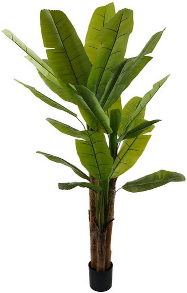 Kunstplant bananenplant, 220 cm - Buitengewoon de Boet