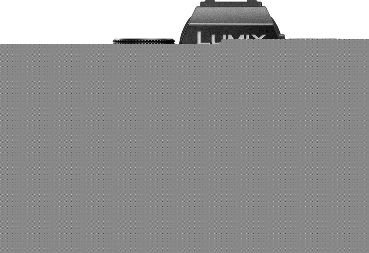 Panasonic LUMIX S5D Black + S 18-40mm f/4.5-6.3