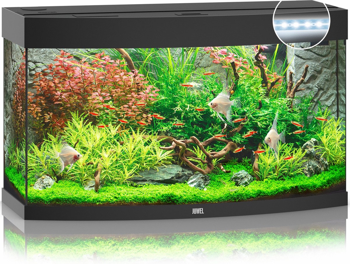 Juwel aquarium Vision 180 LED met filter zwart - Gebr de boon