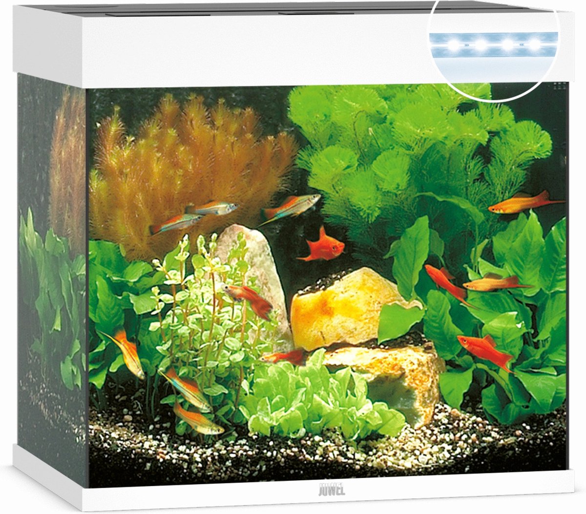 Juwel aquarium Lido 120 LED met filter wit - Gebr de boon
