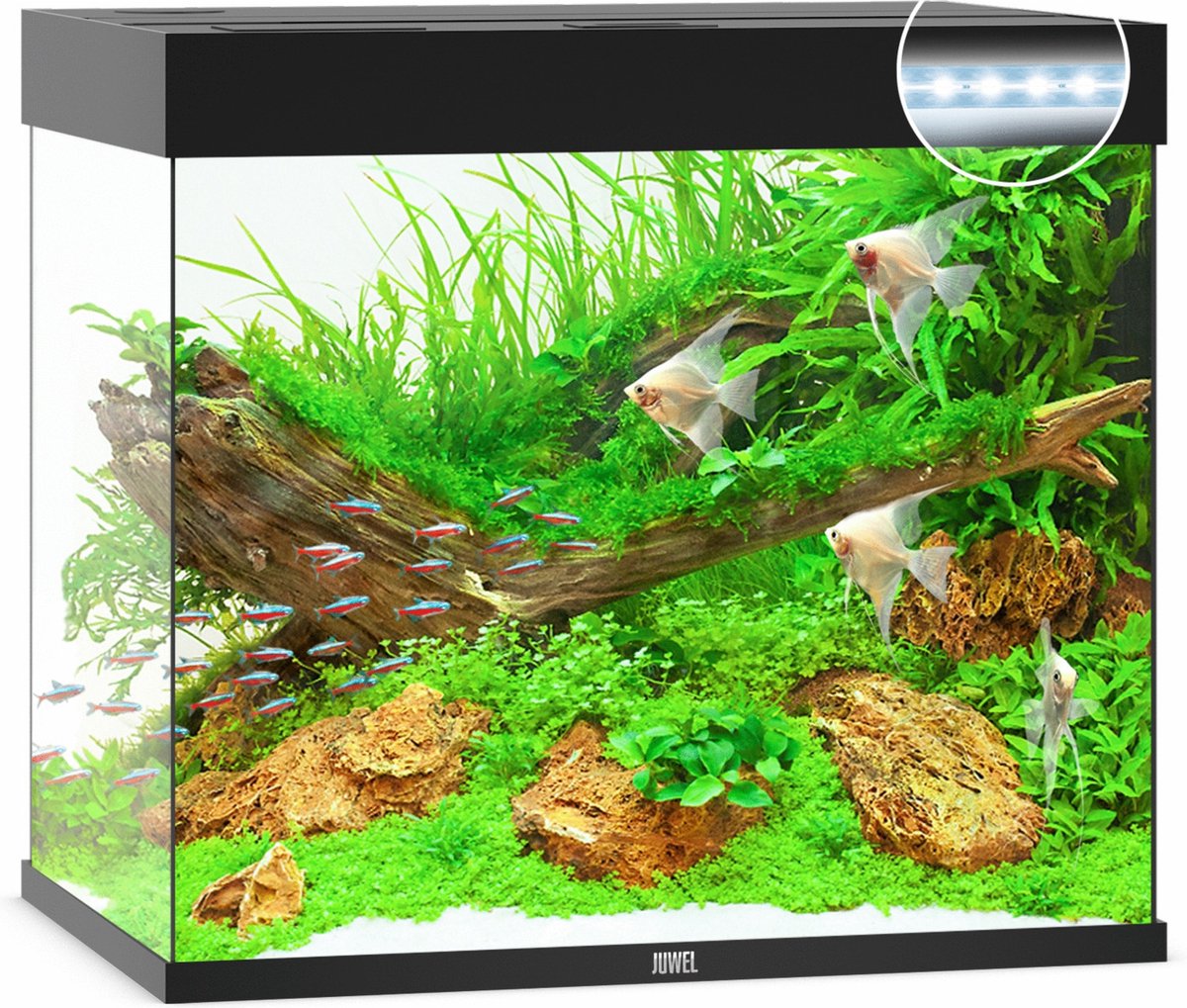 Juwel aquarium Lido 200 LED met filter zwart - Gebr de boon