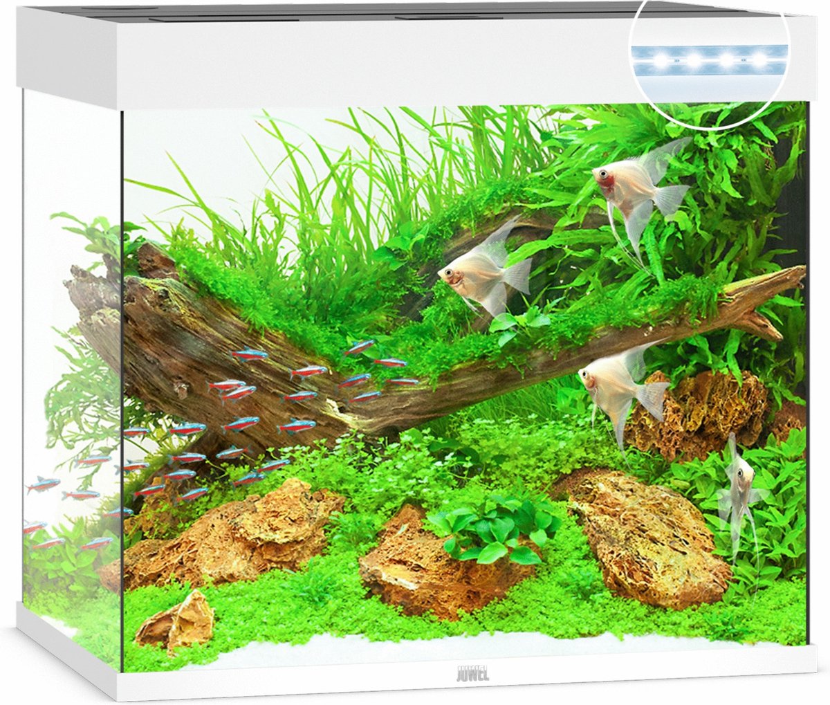 Juwel aquarium Lido 200 LED met filter wit - Gebr de boon