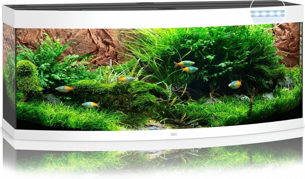 Juwel aquarium Vision 450 LED met filter wit - Gebr de boon