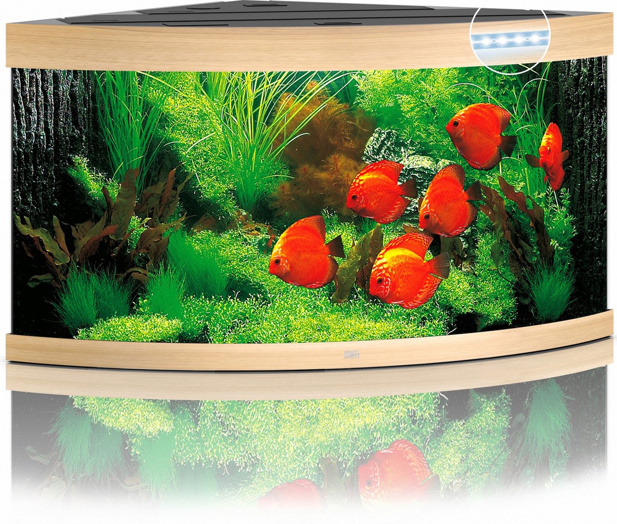 Juwel aquarium Trigon 350 LED met filter licht eiken - Gebr de boon