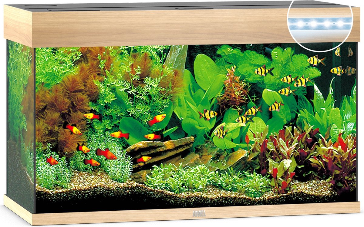 Juwel aquarium Rio 125 LED met filter licht eiken - Gebr de boon